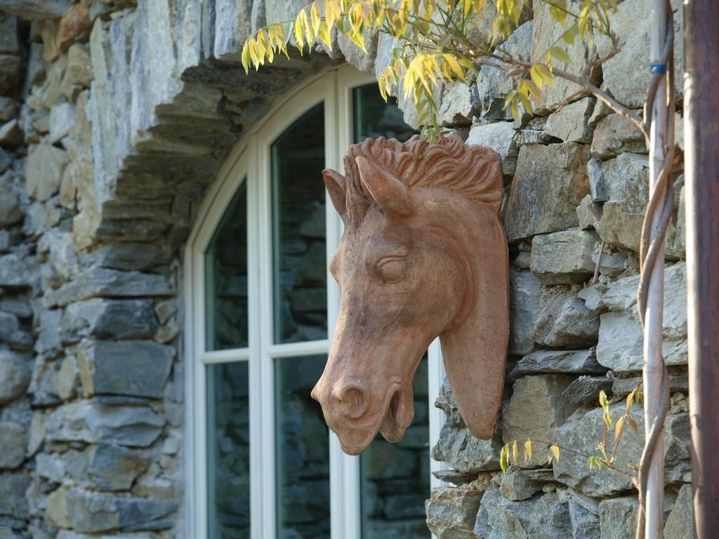 Park Hotel Villa Belvedere Cannobio Eksteriør bilde