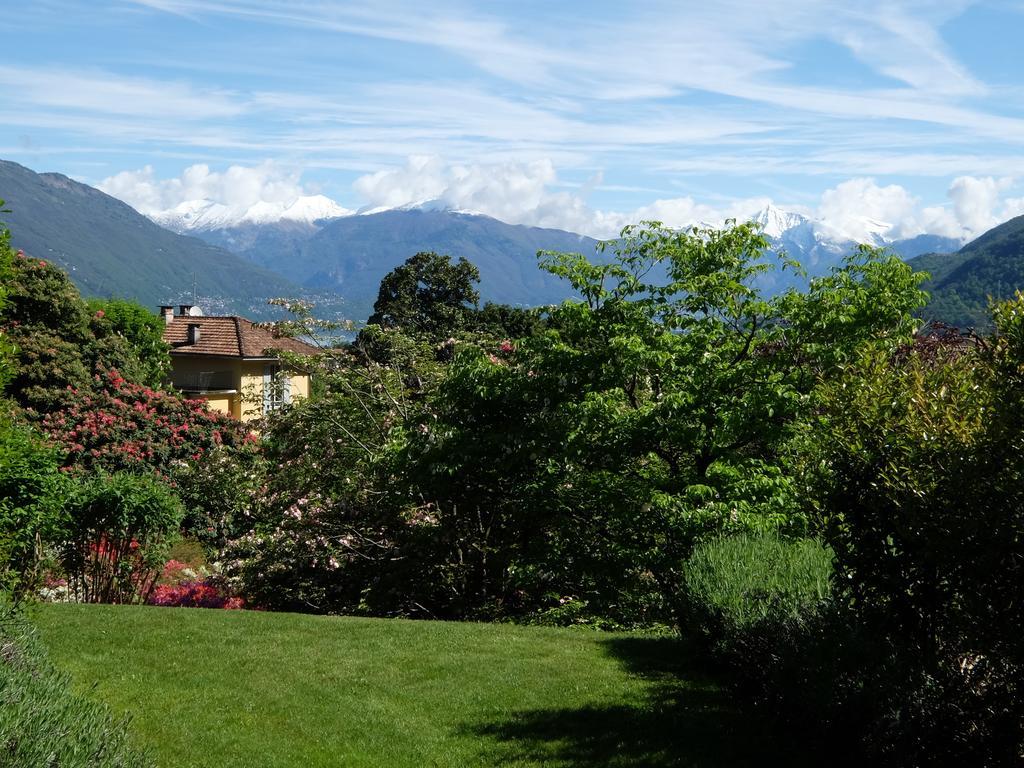 Park Hotel Villa Belvedere Cannobio Eksteriør bilde