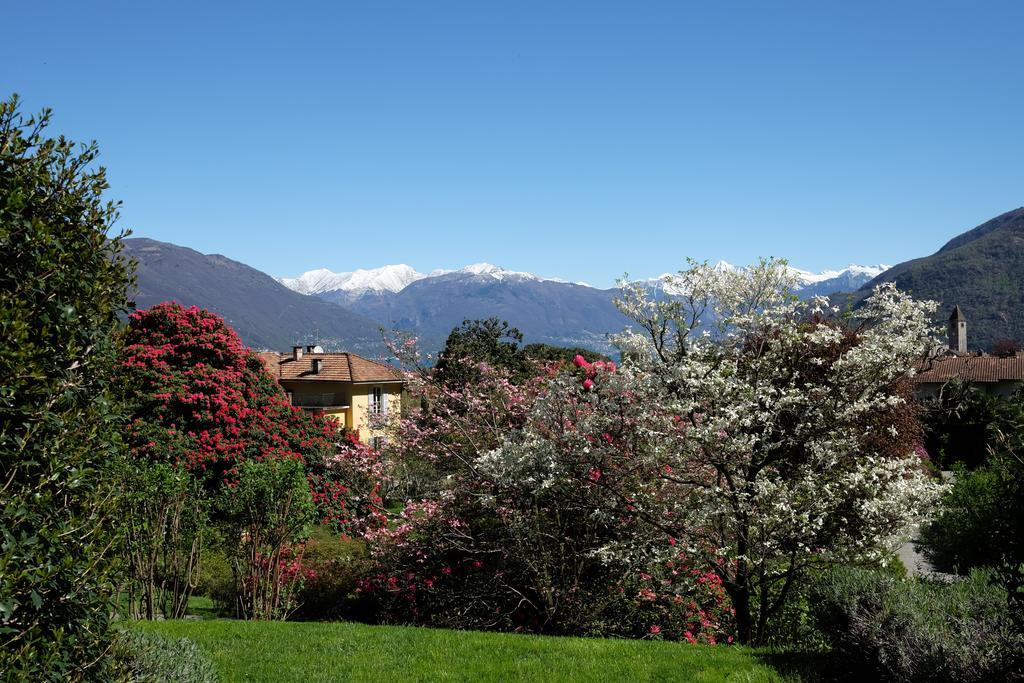 Park Hotel Villa Belvedere Cannobio Eksteriør bilde