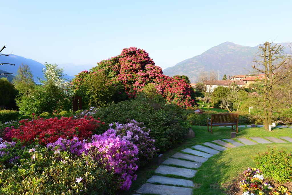 Park Hotel Villa Belvedere Cannobio Eksteriør bilde